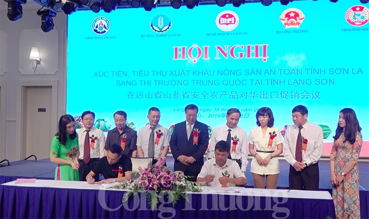 day manh xuat khau nong san an toan son la sang thi truong trung quoc