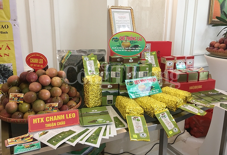 day manh xuat khau nong san an toan son la sang thi truong trung quoc