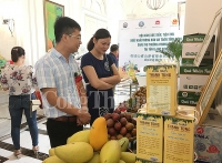 Đẩy mạnh xuất khẩu nông sản an toàn Sơn La sang thị trường Trung Quốc