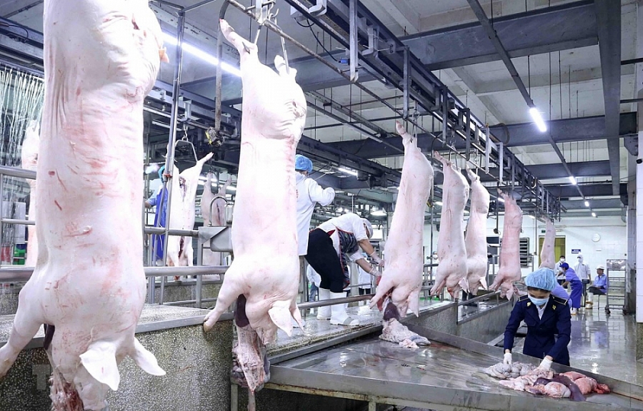 3427 ttxvnnguoncungthitlon 15846938853291529656711