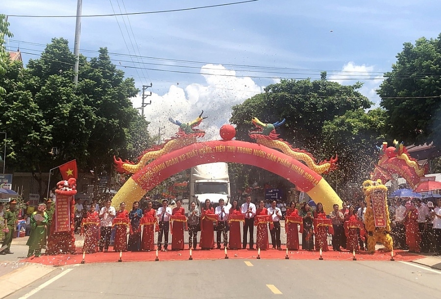 Sơn La: Đẩy mạnh tiêu thụ, xuất khẩu sản phẩm nhãn son la day manh tieu thu xuat khau san pham nhan