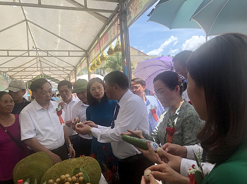 Sơn La: Đẩy mạnh tiêu thụ, xuất khẩu sản phẩm nhãn son la day manh tieu thu xuat khau san pham nhan 2