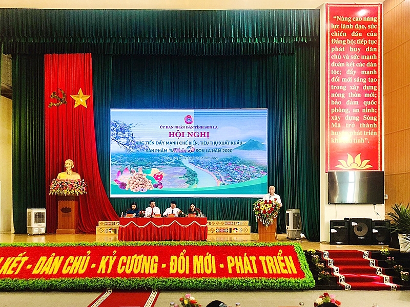 Sơn La: Đẩy mạnh tiêu thụ, xuất khẩu sản phẩm nhãn son la day manh tieu thu xuat khau san pham nhan 3