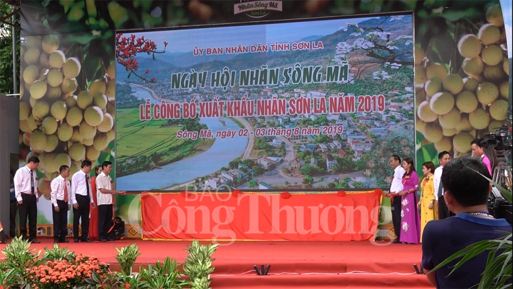 Mở rộng thị trường tiêu thụ cho thương hiệu “Nhãn Sông Mã” mo rong thi truong tieu thu cho thuong hieu nhan song ma