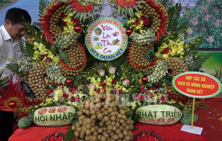 Mở rộng thị trường tiêu thụ cho thương hiệu “Nhãn Sông Mã” mo rong thi truong tieu thu cho thuong hieu nhan song ma