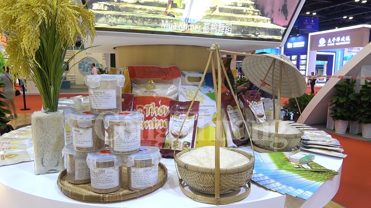 pho thu tuong vu duc dam khai truong khu gian hang viet nam tai caexpo 2019