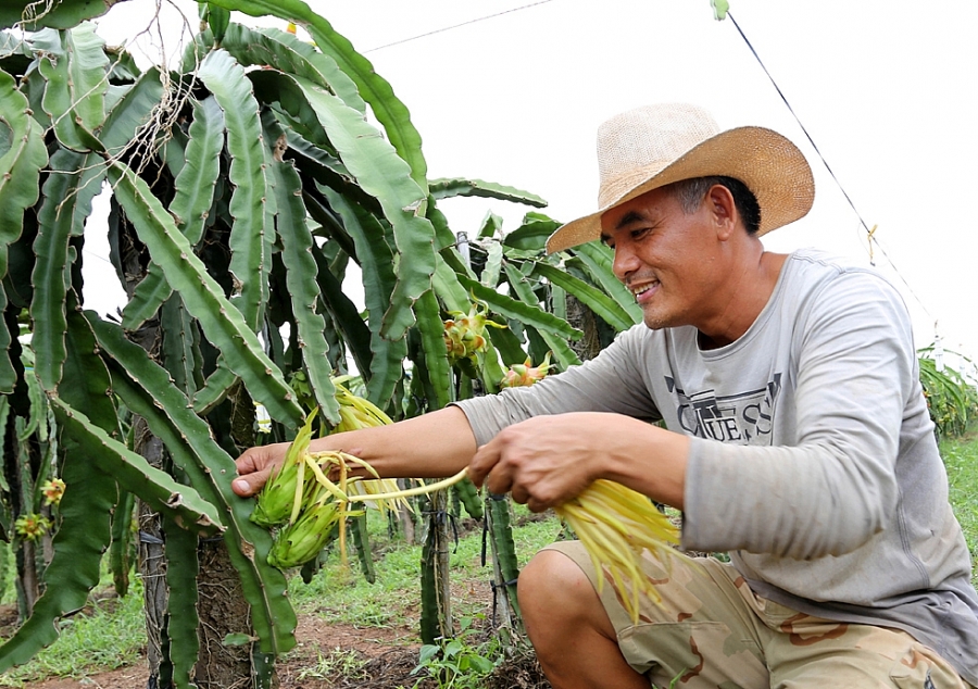 Hội tụ nội lực thực thi tín dụng chính sách xã hội hoi-tu-noi-luc-thuc-thi-tin-dung-chinh-sach-xa-hoi-2