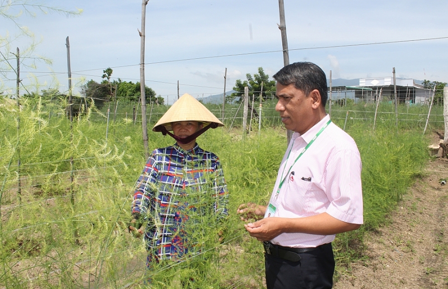 Hội tụ nội lực thực thi tín dụng chính sách xã hội hoi-tu-noi-luc-thuc-thi-tin-dung-chinh-sach-xa-hoi-3