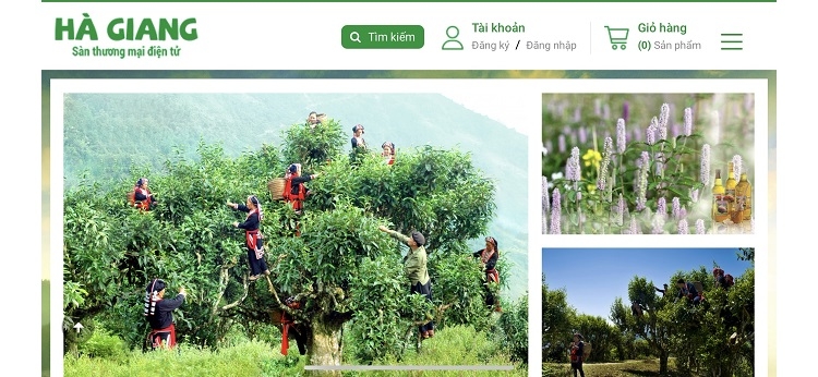 Hà Giang: Tỉnh nghèo với quyết tâm chuyển đổi số Hà Giang: Tỉnh nghèo với quyết tâm chuyển đổi số