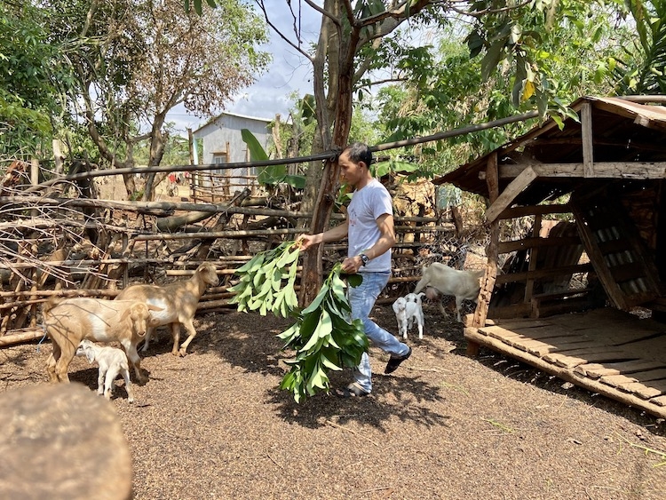 Ngân hàng Chính sách xã hội: Nơi gửi gắm niềm tin của đồng bào nghèo Ngân hàng Chính sách xã hội: Nơi gửi gắm niềm tin của đồng bào nghèo