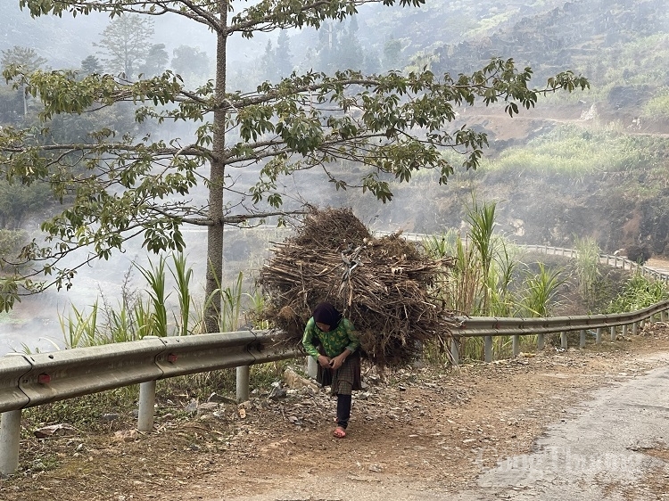 Phụ nữ dân tộc thiểu số - Gánh nặng trên đôi vai nhỏ