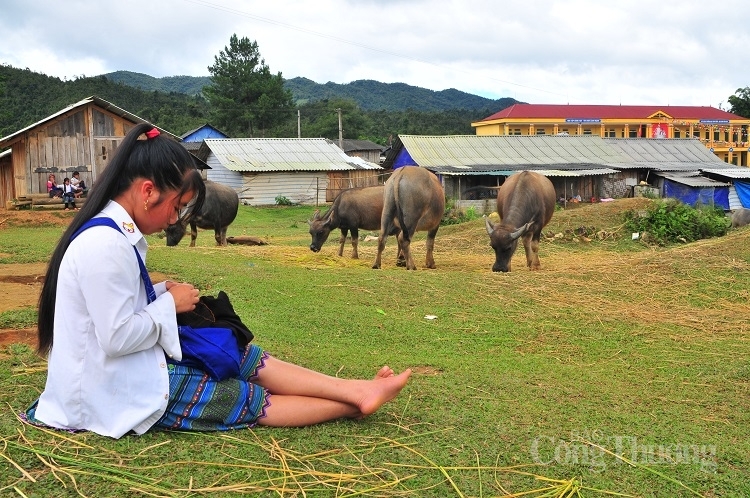 Phụ nữ dân tộc thiểu số - Gánh nặng trên đôi vai nhỏ