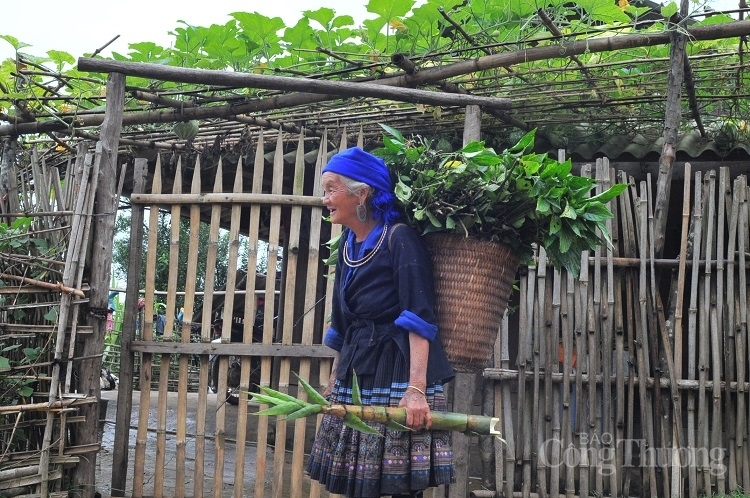 Phụ nữ dân tộc thiểu số - Gánh nặng trên đôi vai nhỏ