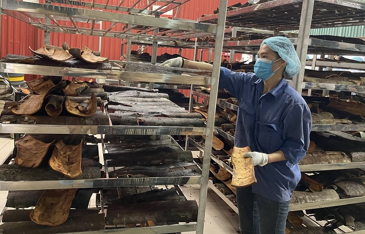 Người lao động làm việc ngày Giỗ tổ Hùng Vương, ngày 30/4, mùng 1/5, được hưởng thêm ít nhất 300% lương của ngày làm việc bình thường Người lao động làm việc ngày Giỗ tổ Hùng Vương, ngày 30/4, mùng 1/5, được hưởng thêm ít nhất 300% lương của ngày làm việc bình thường