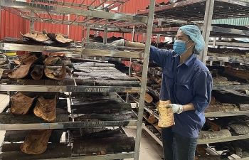 Người lao động làm việc ngày Giỗ tổ Hùng Vương, ngày 30/4, mùng 1/5 có thể được hưởng tới 490% lương