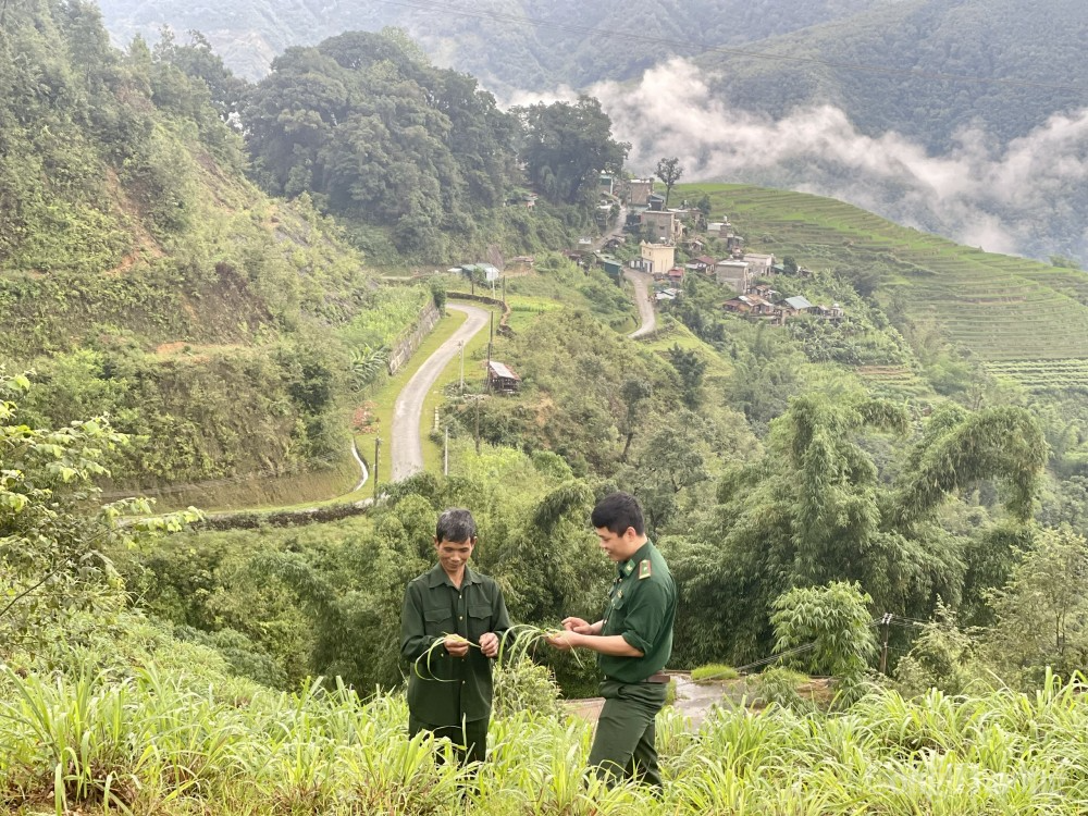 Lai Châu: Nông sản xuất khẩu sang Trung Quốc xuống giá trầm trọng