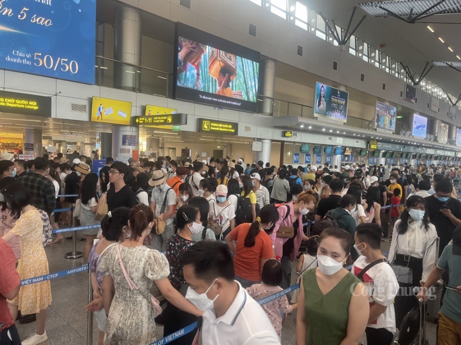 Tần suất chuyến bay tăng cao, vì sao giá vé máy bay không giảm? Tần suất chuyến bay tăng cao, vì sao giá vé máy bay không giảm?