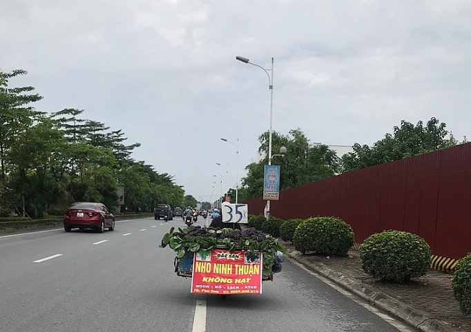 Mạo danh nho Ninh Thuận để lừa khách hàng mao danh nho ninh thuan de lua khach hang