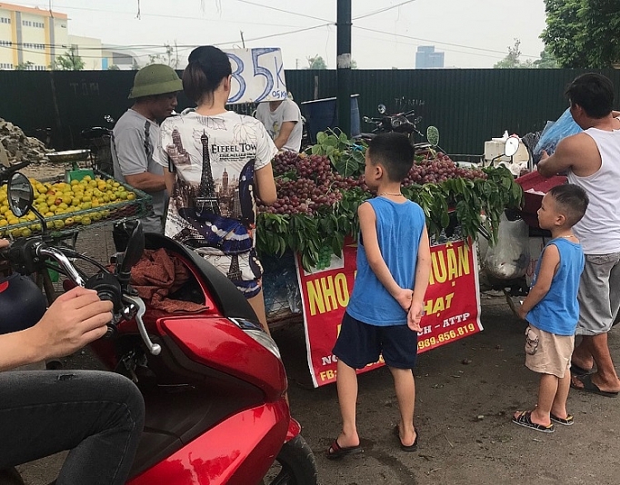 Mạo danh nho Ninh Thuận để lừa khách hàng mao danh nho ninh thuan de lua khach hang