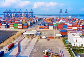 Xuất khẩu ngược dòng tăng tốc