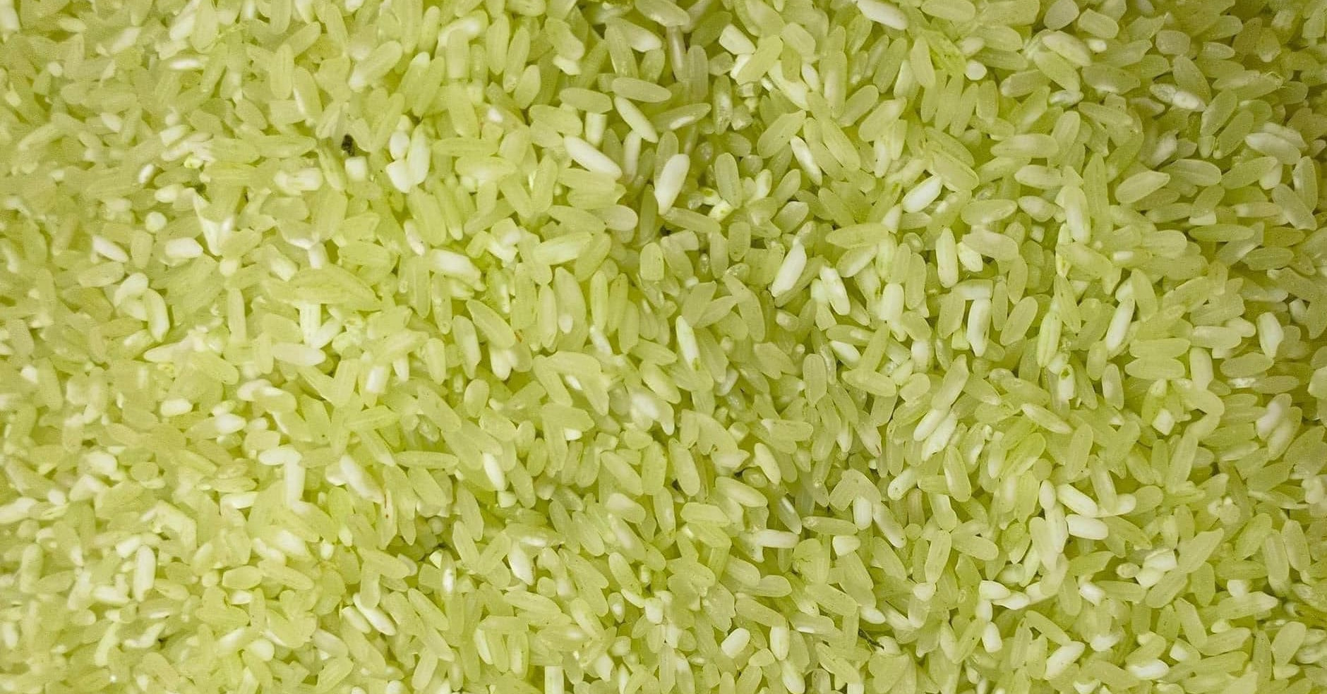 Sự thật về gạo Séng Cù xanh gây sốt rần rần ‘chợ mạng’ Sự thật về gạo Séng Cù xanh gây sốt rần rần ‘chợ mạng’