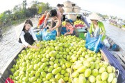 Điểm sáng nông, thủy sản