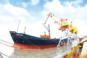 Bảo hiểm đồng hành cùng phát triển thương mại quốc tế