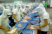 Cá tra, basa tiếp tục bị áp thuế chống bán phá giá