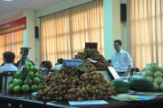 Hà Nội: Tiêu thụ hàng ngàn tấn vải Hải Dương