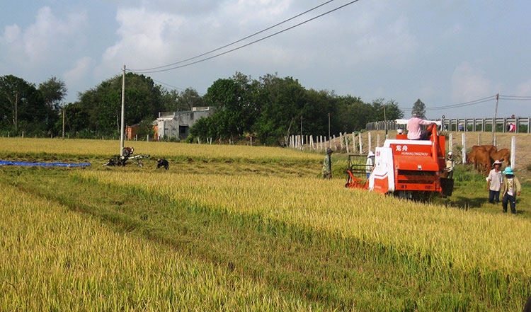 Không để lặp lại nợ đọng trong xây dựng nông thôn mới khong de lap lai no dong trong xay dung nong thon moi