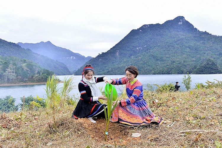 Hoa khôi du lịch Việt Nam tham gia phủ xanh đất trống tại Tuyên Quang Hoa khôi du lịch Việt Nam tham gia phủ xanh đất trống tại Tuyên Quang