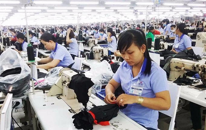 Hà Nội thanh tra 100 đơn vị nợ đọng bảo hiểm xã hội ha noi thanh tra 100 don vi no dong bao hiem xa hoi