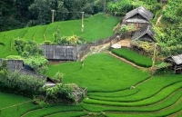 Từ năm 2021, sẽ hỗ trợ thẻ bảo hiểm y tế cho người dân An toàn khu cách mạng