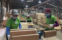 Nhận bảo hiểm xã hội một lần - đừng vì cái lợi trước mắt