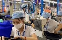 Hướng dẫn việc tạm dừng đóng quỹ hưu trí, tử tuất cho doanh nghiệp