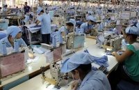 Tập trung phát triển người tham gia bảo hiểm xã hội hậu dịch Covid-19
