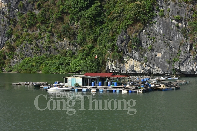 Dấu ấn mới trên Vịnh Hạ Long dau an moi tren vinh ha long