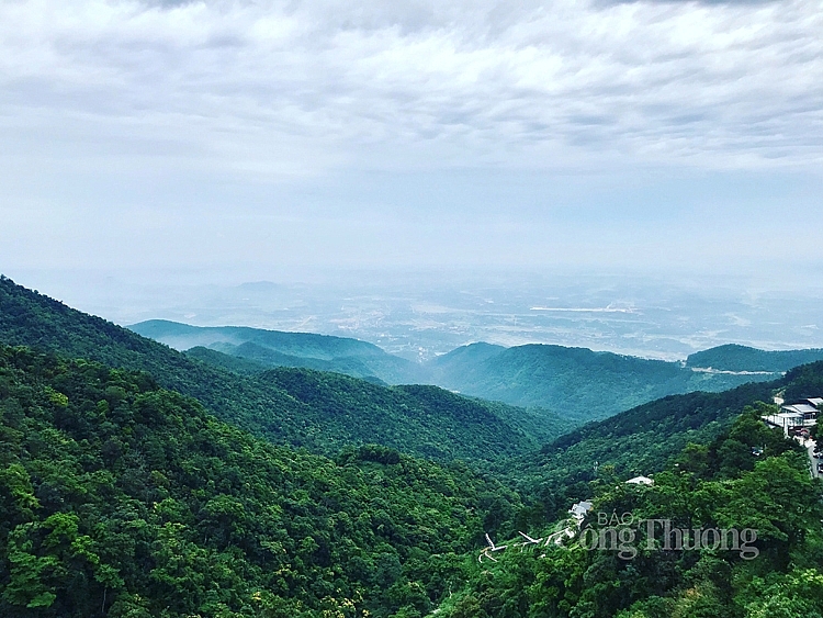 phuc hoi du lich vung dat vang