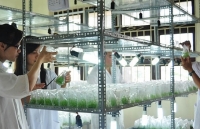 Quy tụ 100 người Việt trẻ tiêu biểu ngành khoa học công nghệ