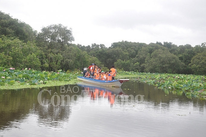 mie n tay menh mang mu a nuo c no i