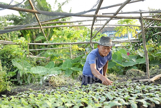 Cần Thơ – miệt vườn thương nhớ can tho ai di den do long khong muon ve