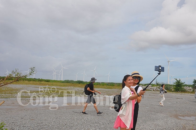 canh dong dien gio suc hut moi cua du lich bac lieu