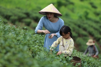 Sẵn sàng cho sự trở lại của du lịch nội địa