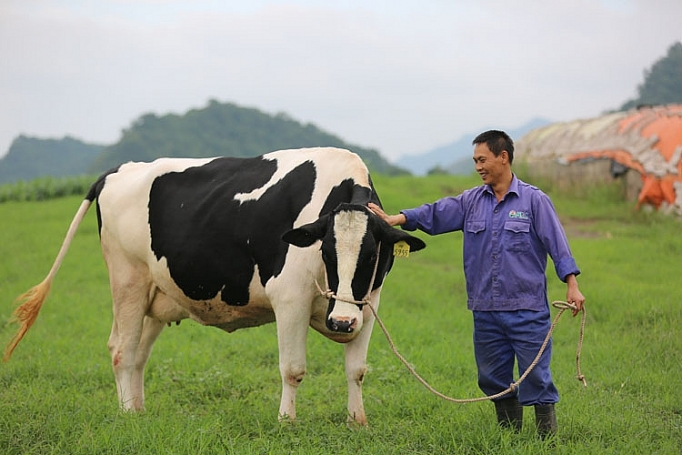 moc chau chuan bi hoi thi hoa hau bo sua lan thu 16