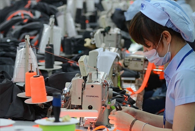 Triển khai đồng bộ các giải pháp phát triển người tham gia bảo hiểm xã hội trien khai dong bo cac giai phap phat trien nguoi tham gia bao hiem xa hoi