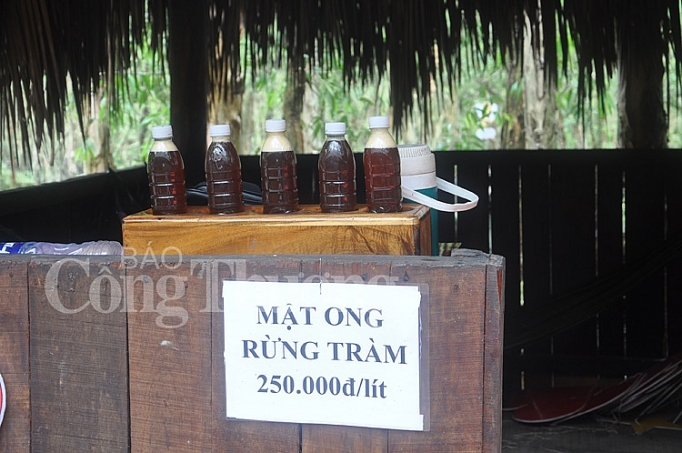 rung tram tra su ve dep mien bien an giang