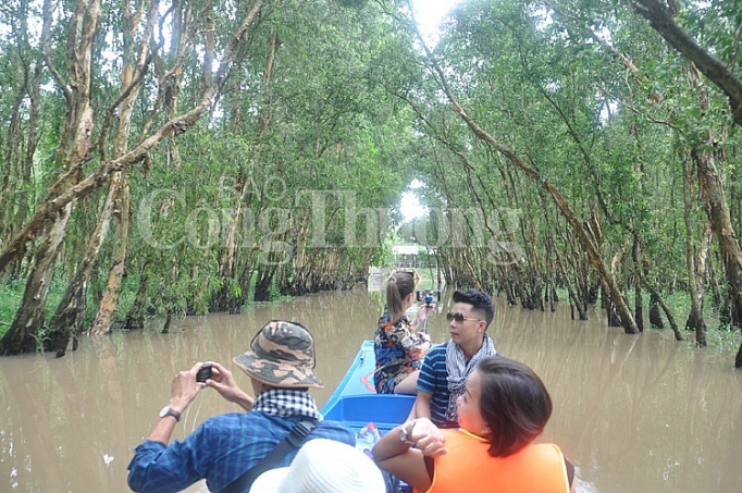 rung tram tra su ve dep mien bien an giang