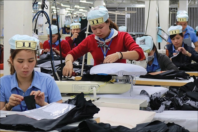 Chiếm dụng tiền bảo hiểm xã hội vẫn diễn ra tại nhiều địa phương chiem dung tien bao hiem xa hoi van dien ra tai nhieu dia phuong