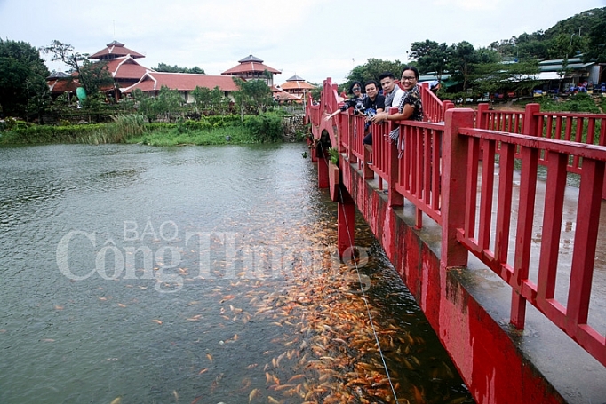 Vì sao Núi Cấm được mệnh danh là Đà Lạt vùng sông nước miền Tây nui cam da lat vung song nuoc mien tay