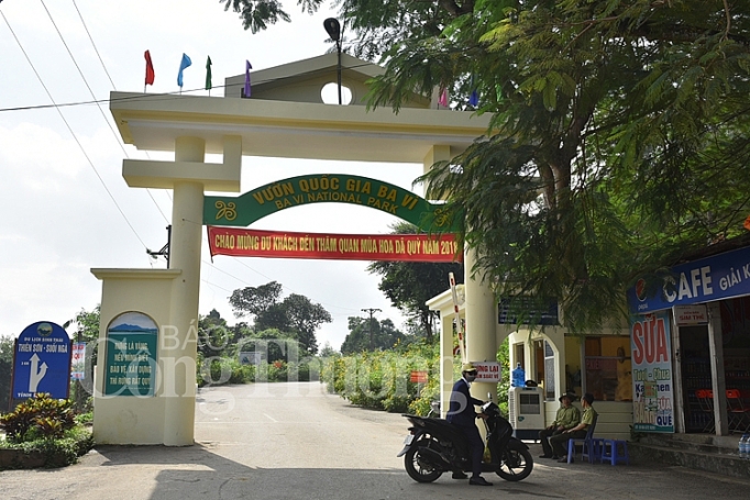 da quy ba vi khoe sac